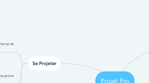 Mind Map: Projet Pro