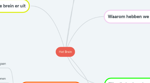 Mind Map: Het Brein