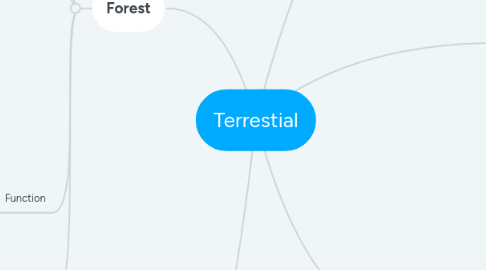 Mind Map: Terrestial