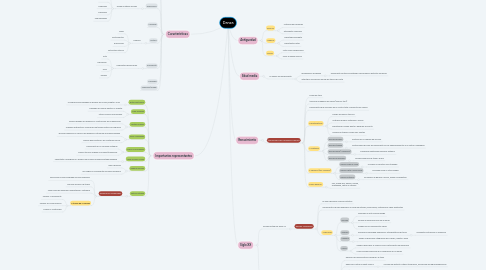 Mind Map: Danza