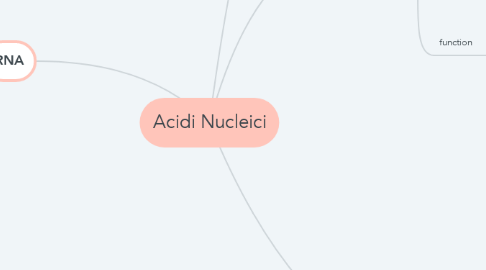 Mind Map: Acidi Nucleici