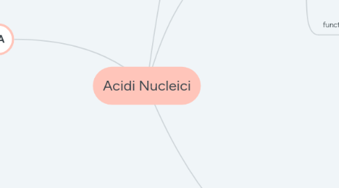 Mind Map: Acidi Nucleici