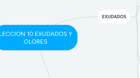 Mind Map: LECCION 10 EXUDADOS Y OLORES