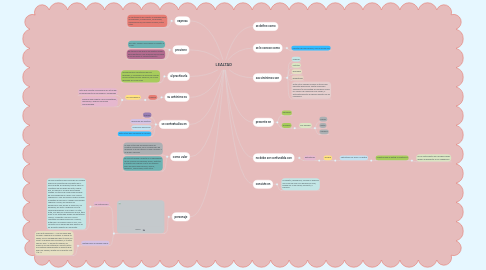 Mind Map: LEALTAD