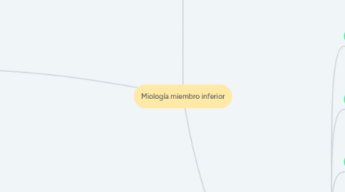 Mind Map: Miología miembro inferior