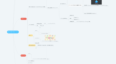 Mind Map: 翔の今後の予定について