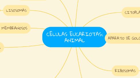 Mind Map: CÉLULAS EUCARIOTAS: ANIMAL