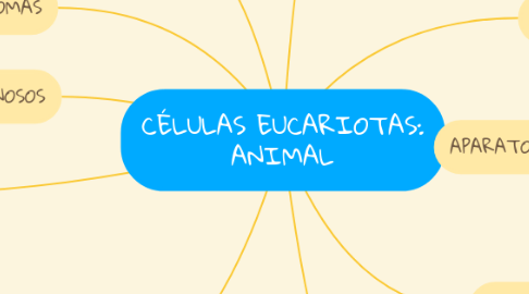 Mind Map: CÉLULAS EUCARIOTAS: ANIMAL