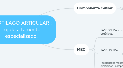 Mind Map: CARTILAGO ARTICULAR : tejido altamente especializado.