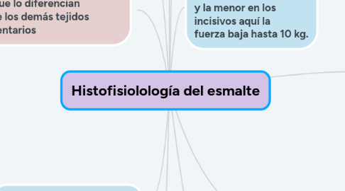 Mind Map: Histofisiolología del esmalte