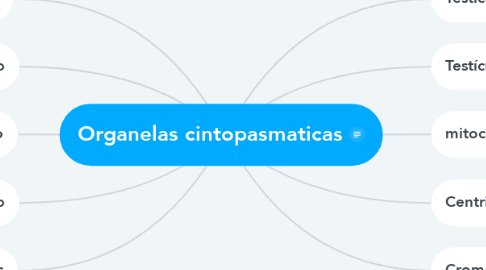 Mind Map: Organelas cintopasmaticas