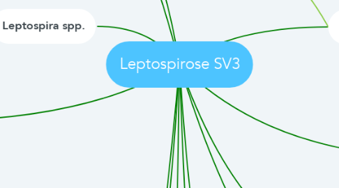 Mind Map: Leptospirose SV3
