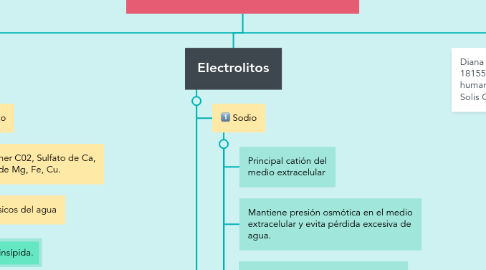 Mind Map: El agua y los electrólitos