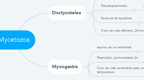 Mind Map: Mycetozoa