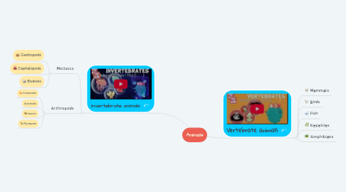 Mind Map: Animals