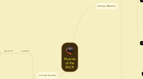 Mind Map: Muscles of the BACK