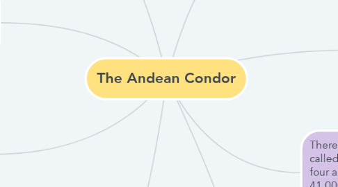 Mind Map: The Andean Condor