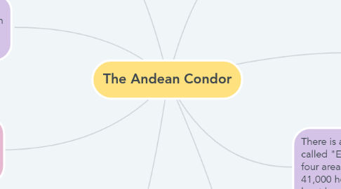 Mind Map: The Andean Condor