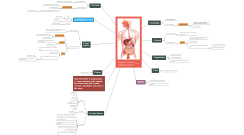 Mind Map: Chapter 11: Human Digestive System