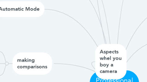 Mind Map: Professional Cameras