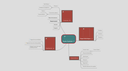 Mind Map: Tejido Epitelial