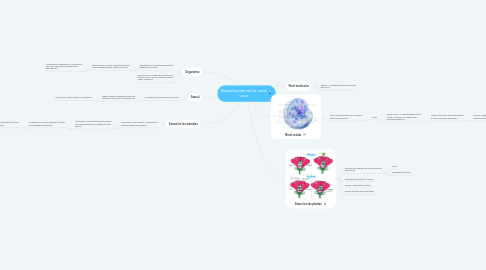 Mind Map: Reproducción de los seres vivos