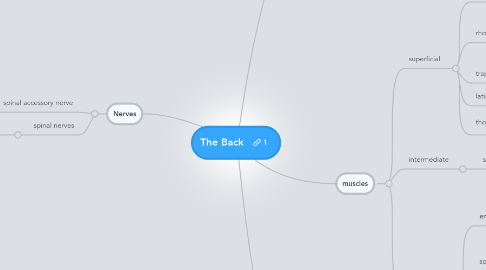 Mind Map: The Back