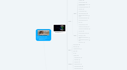 Mind Map: Organisation du centre de mieux-être en ligne HARMONITYS