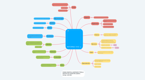 Mind Map: ENTORNO VIVO