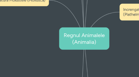 Mind Map: Regnul Animalele (Animalia)