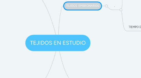 Mind Map: TEJIDOS EN ESTUDIO