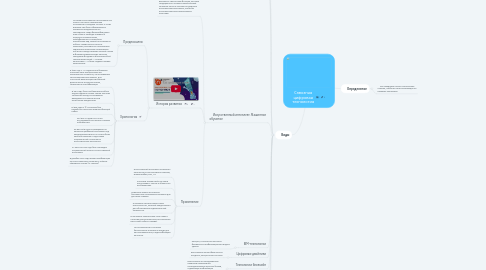 Mind Map: Сквозная цифровая технология