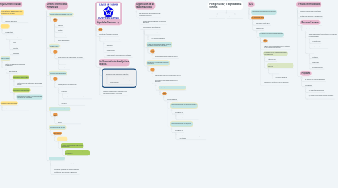 Mind Map: Instrumentos Internacionales de Protección a los Derechos Humanos
