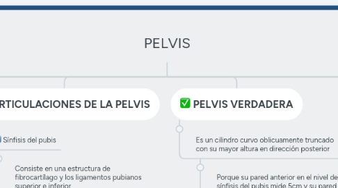 Mind Map: PELVIS