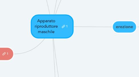 Mind Map: Apparato riproduttore maschile