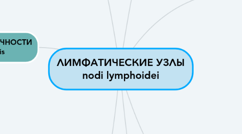 Mind Map: ЛИМФАТИЧЕСКИЕ УЗЛЫ nodi lymphoidei