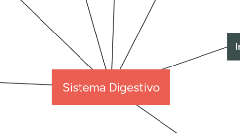 Mind Map: Sistema Digestivo