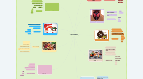 Mind Map: Oligoelementos