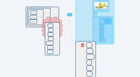 Mind Map: 1. ünite