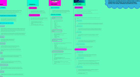 Mind Map: SOFTWARE Y SERVICIOS DE INTERNET