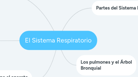Mind Map: El Sistema Respiratorio