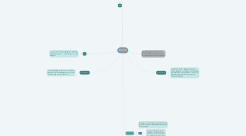 Mind Map: ROUTER
