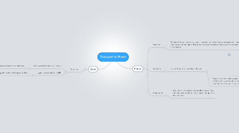 Mind Map: Transport in Plants