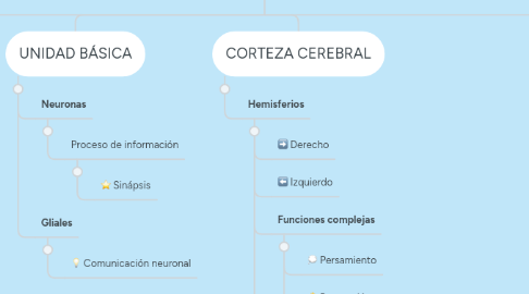 Mind Map: LAS ESTRUCTURAS CEREBRALES DEL APRENDIZAJE