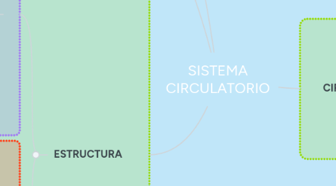 Mind Map: SISTEMA CIRCULATORIO