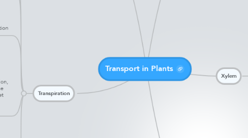 Mind Map: Transport in Plants