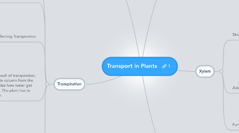 Mind Map: Transport in Plants