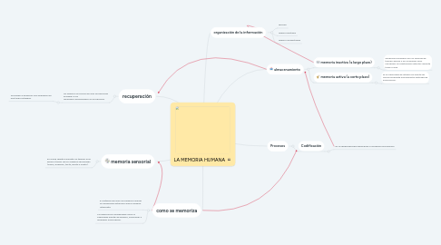 Mind Map: LA MEMORIA HUMANA