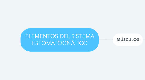 Mind Map: ELEMENTOS DEL SISTEMA ESTOMATOGNÁTICO