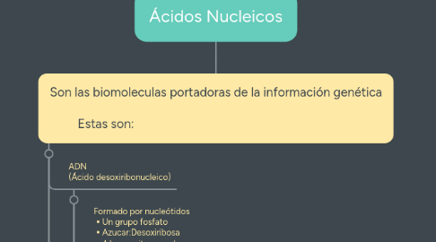 Mind Map: Ácidos Nucleicos